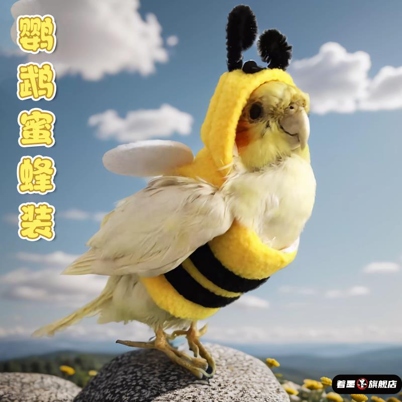 玄凤鹦鹉过冬保暖衣服斗篷披风牡丹小鸟虎皮