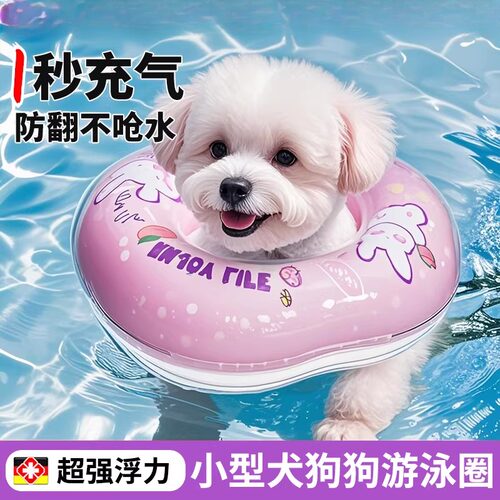 游泳圈小型狗狗夏季宠物玩水专用