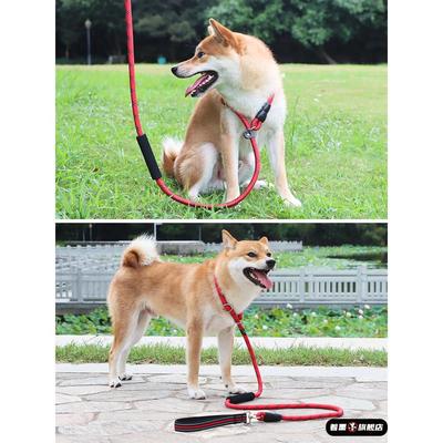 遛狗牵引绳大型犬狗狗训犬p链防爆冲绳羊驼p绳中狗绳金毛宠物狗链
