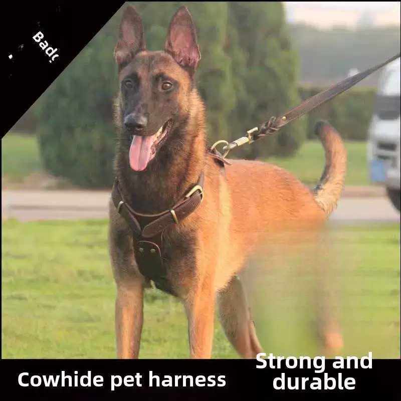 大型犬牵引绳狗狗背带链子牛皮胸