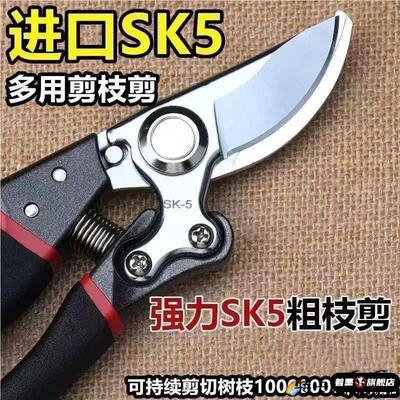 德国进口强力加厚钢果树修枝剪粗枝剪刀园林园艺修花剪家用神器
