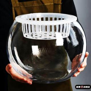 玻璃水培花盆创意植物花瓶透明水养绿萝容器插花瓶圆球形鱼缸器皿