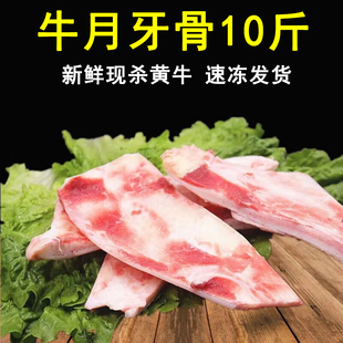 10斤现杀新鲜牛月牙骨牛月亮骨牛脆骨牛软骨煲汤补钙生鲜食材3斤