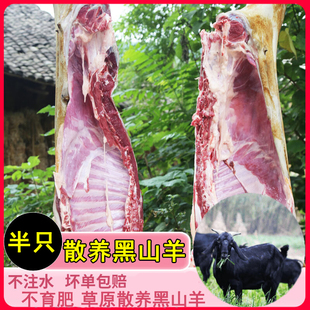 黑山羊肉整羊带皮山羊整只羊酮体草原散养半只黑山羊排羊前腿羊腿
