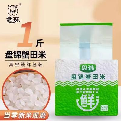 北大荒新米东北大米1斤珍珠米