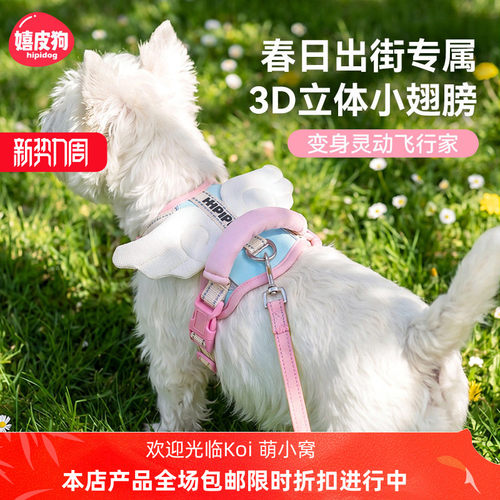 天使神器新款翅膀狗狗外出背心式遛狗绳小型犬工字食品级带猫咪