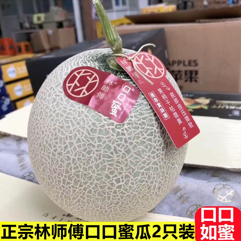 现货林师傅口口蜜瓜2只装新鲜哈密瓜水果爆甜网纹瓜口口蜜多汁