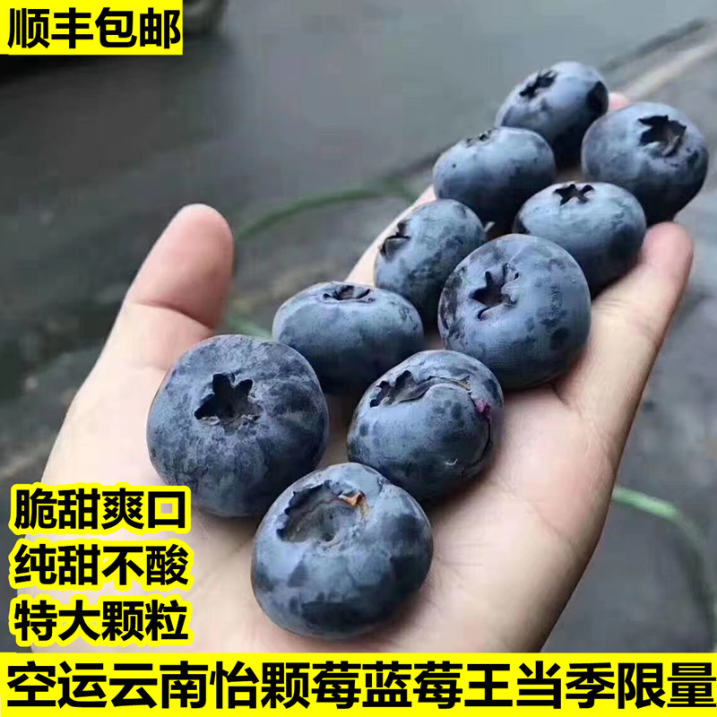 现货云南怡颗莓蓝莓王