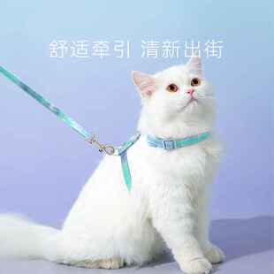 新款彩虹猫咪工字型牵引绳外出遛猫绳子四季通用小狗狗防挣脱用品