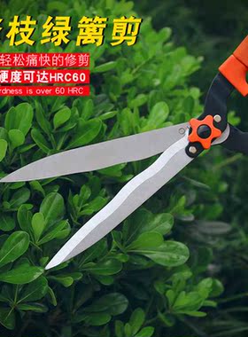绿篱剪厂家大剪刀伸缩园林剪强力园艺家用草坪修剪花草剪树枝工具