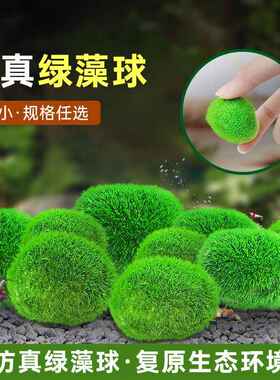 仿真鱼缸海藻球水草微景观生态瓶绿藻球鱼缸造景室内桌面装饰植物