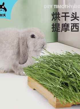 宠尚天 新鲜提草 提摩西草 高纤维龙猫主粮兔子粮干草提摩西干草