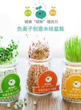创意diy负离子水培绿植盆栽植物室内阳台办公桌面可爱迷你小盆栽