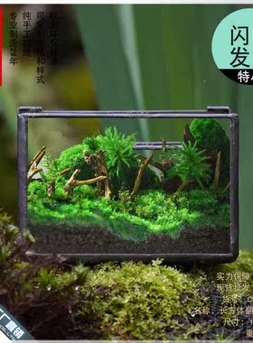 植觉苔藓植物微景观玻璃盒子微缩造景生态瓶桌面盆栽家居摆件花盆
