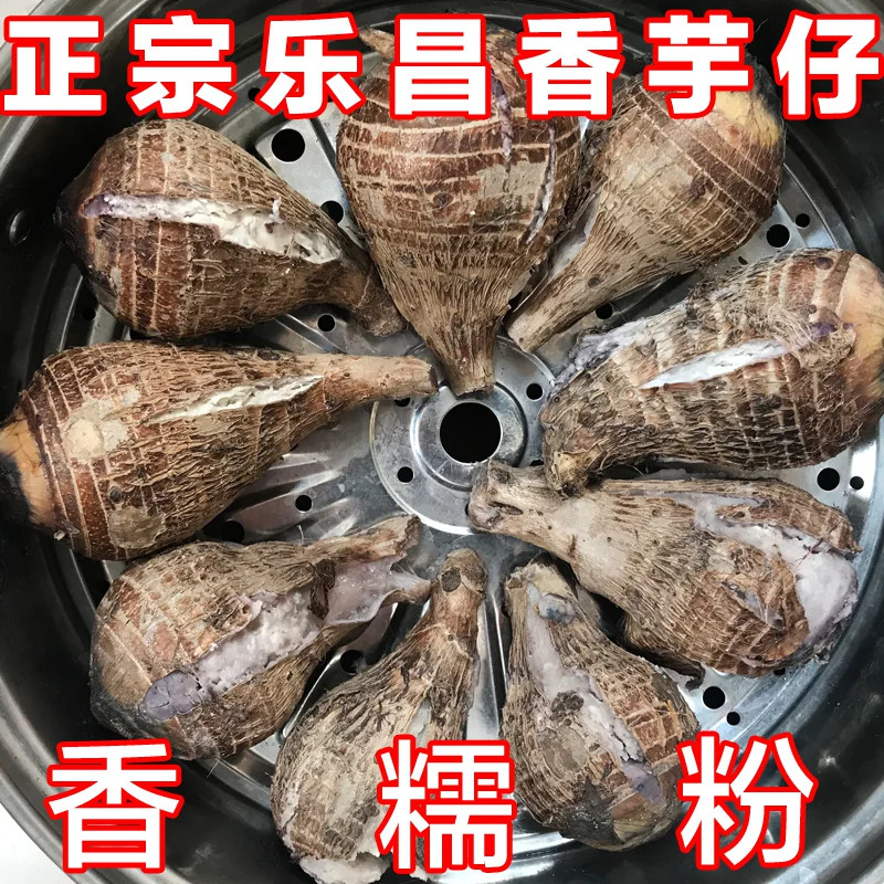 正宗乐昌张溪香芋炮弹芋头仔广东特产牛奶小毛芋艿槟榔芋现挖新鲜