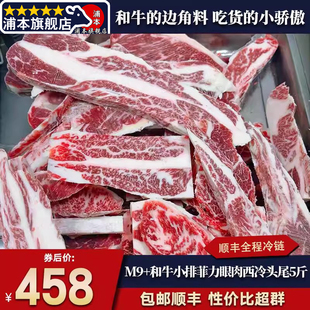 包邮5斤澳洲m9+和牛雪花眼肉牛小排西冷菲力头尾边角料口粮原切谷