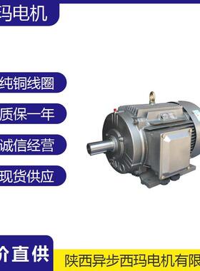 YGM、YGM2系列YGM2-315S-10/45W紧促型三相异步交流电机IP55防护