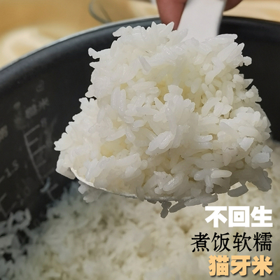 旧曾谙煲仔饭籼稻长粒香猫牙米新