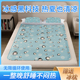 温点床垫冰床垫家用冰垫学生宿舍单人床褥子租房专用春夏垫子冰垫