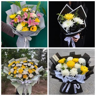 北京市朝阳区丰台区海淀区菊花鲜花同城配送清明上坟扫墓祭奠悼念