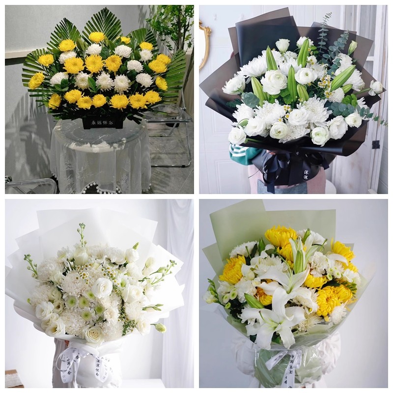 汕头市潮南区潮阳区澄海区菊花鲜