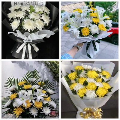 赣州市安远县瑞金市宁都县菊花鲜