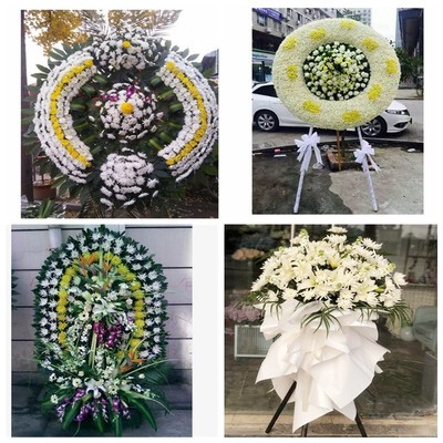 南宁市武鸣区隆安县马山县花圈白