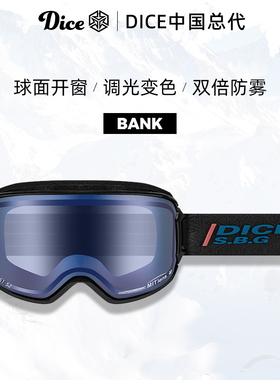 日本进口DICE滑雪镜球面开窗防划伤调光变色2倍防雾26新款BK0658