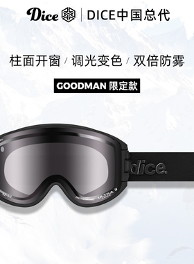 日本进口DICE雪镜柱面开窗超高清调光变色2倍防雾26限定款GM0412