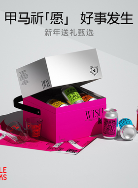 Simple Drinks纸飞机啤酒新年礼盒
