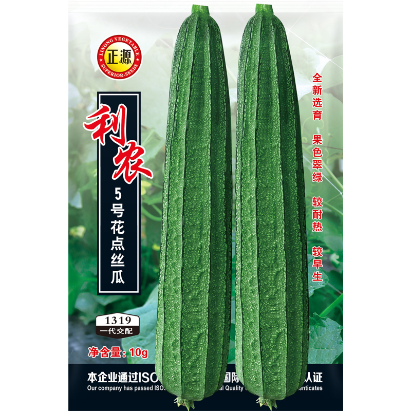 正源利农5号花点棱丝瓜图片
