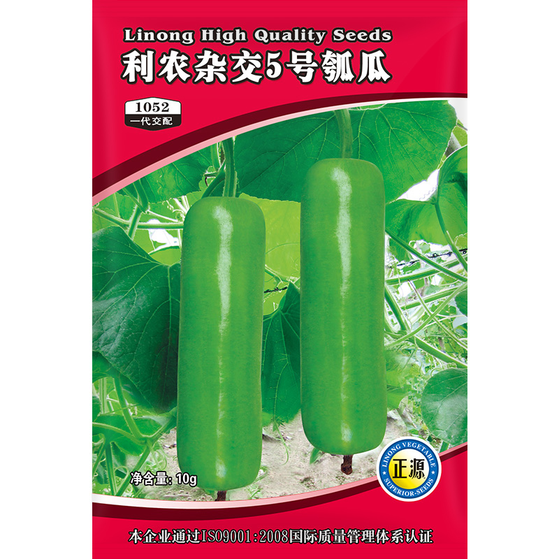 和利农 正源杂交5号瓠瓜种子圆瓠子瓠子瓜种籽超早熟高产甜蒲瓜孑