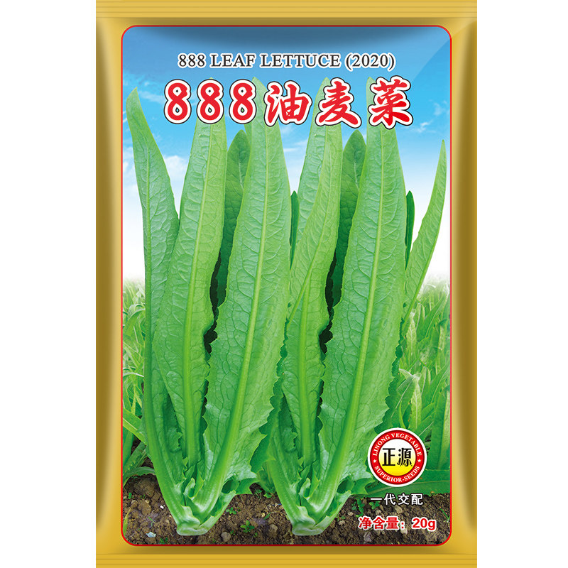 和利农 正源888油麦菜种子四季青菜种籽阳台盆栽菜籽蔬菜种孑,鲜花速递/花卉仿真/绿植园艺,家庭园艺种子,淘宝优惠券,粉丝福利购,淘宝优惠卷