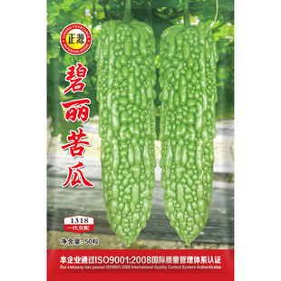 和利农 正源碧丽苦瓜种子绿疙瘩刺瘤长苦瓜种籽庭院四季蔬菜种孑
