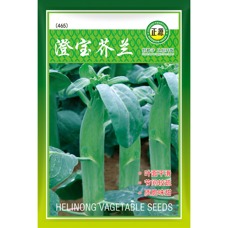 蔬菜芥兰广东农家院种子图片