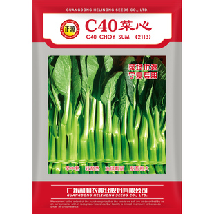 和利农 正源C40菜心种子广东农家菜芯种籽南方菜苔蔬菜种孑宁夏