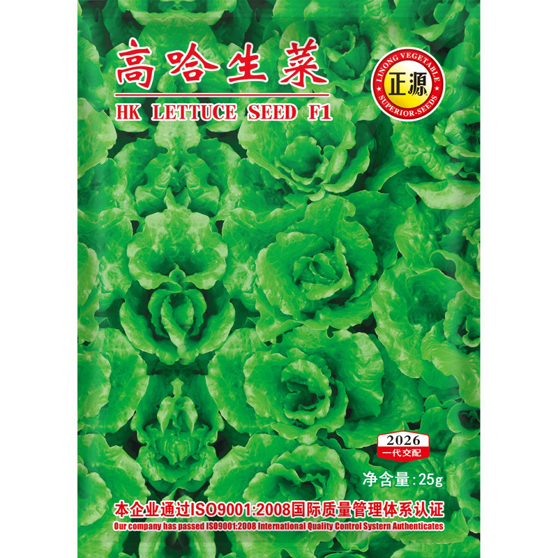 意大利种子耐抽苔四季盆栽生菜图片