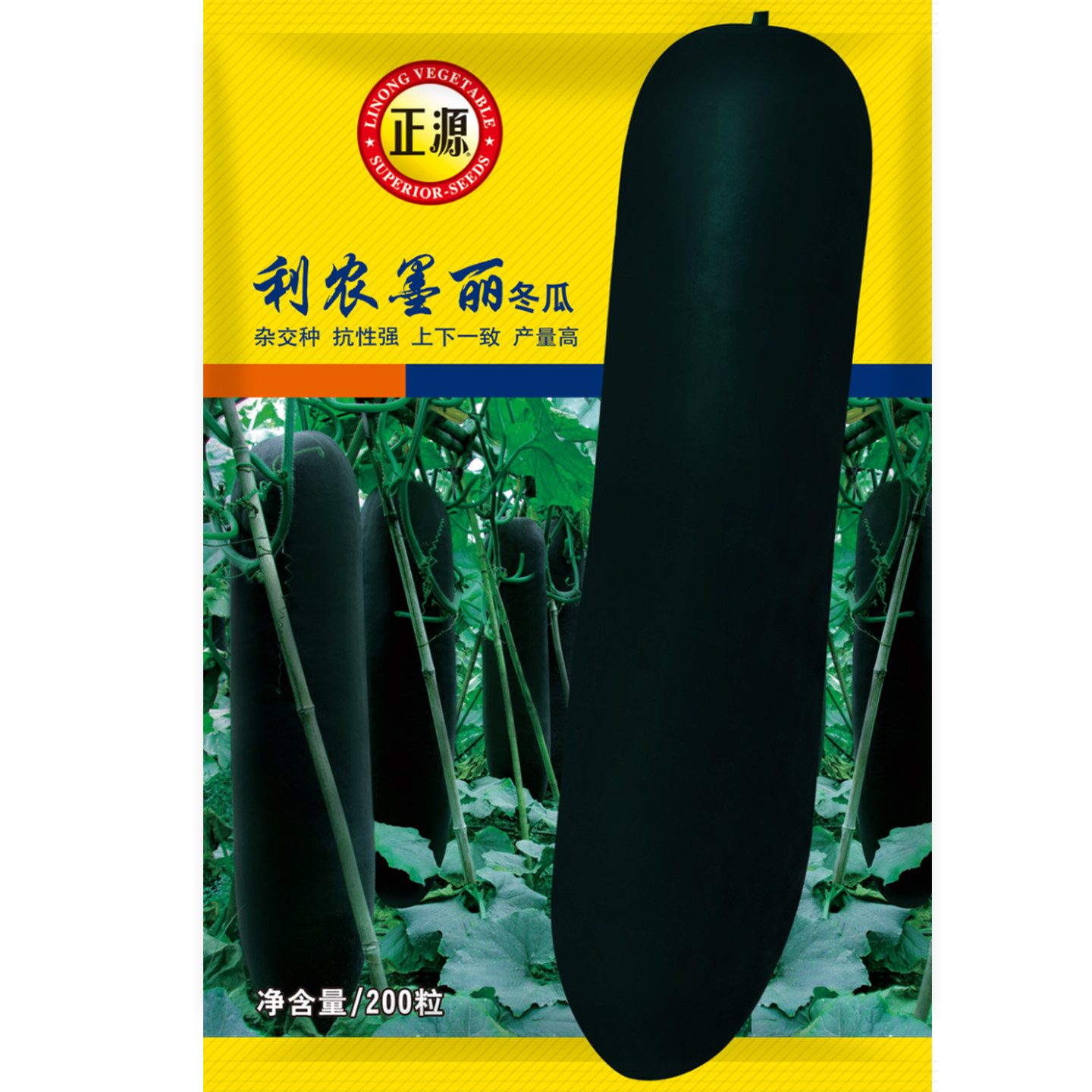 蔬菜广东黑皮冬瓜种子