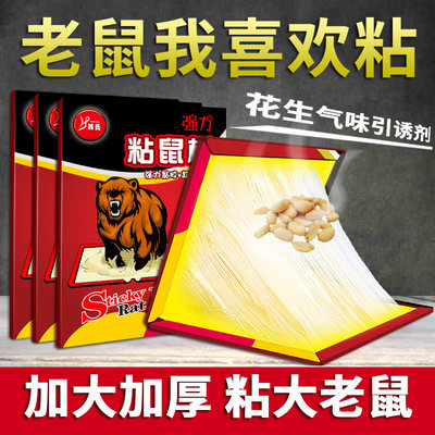 强力粘鼠板加大老鼠贴正品家用