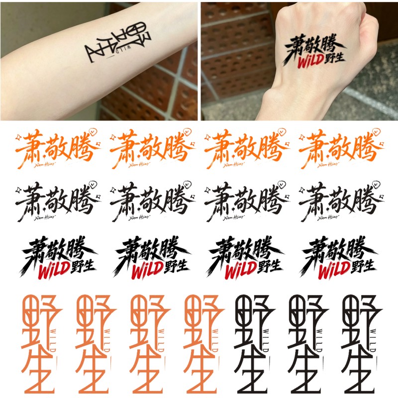 萧敬腾纹身贴 2026年野生演唱会脸贴纸 粉丝应援水转印贴纸周边 - 实物图