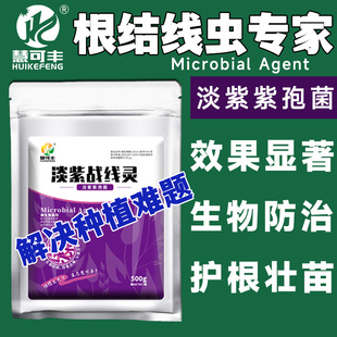根结线虫专用药淡紫紫孢菌微生物菌剂果树蔬菜花卉植物杀虫专用药
