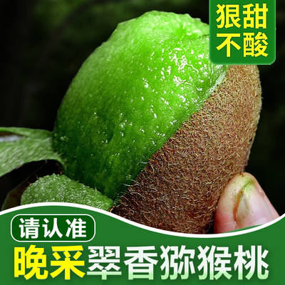 陕西周至翠香猕猴桃奇异果水果新鲜整箱应当季正宗4.8斤弥猴桃