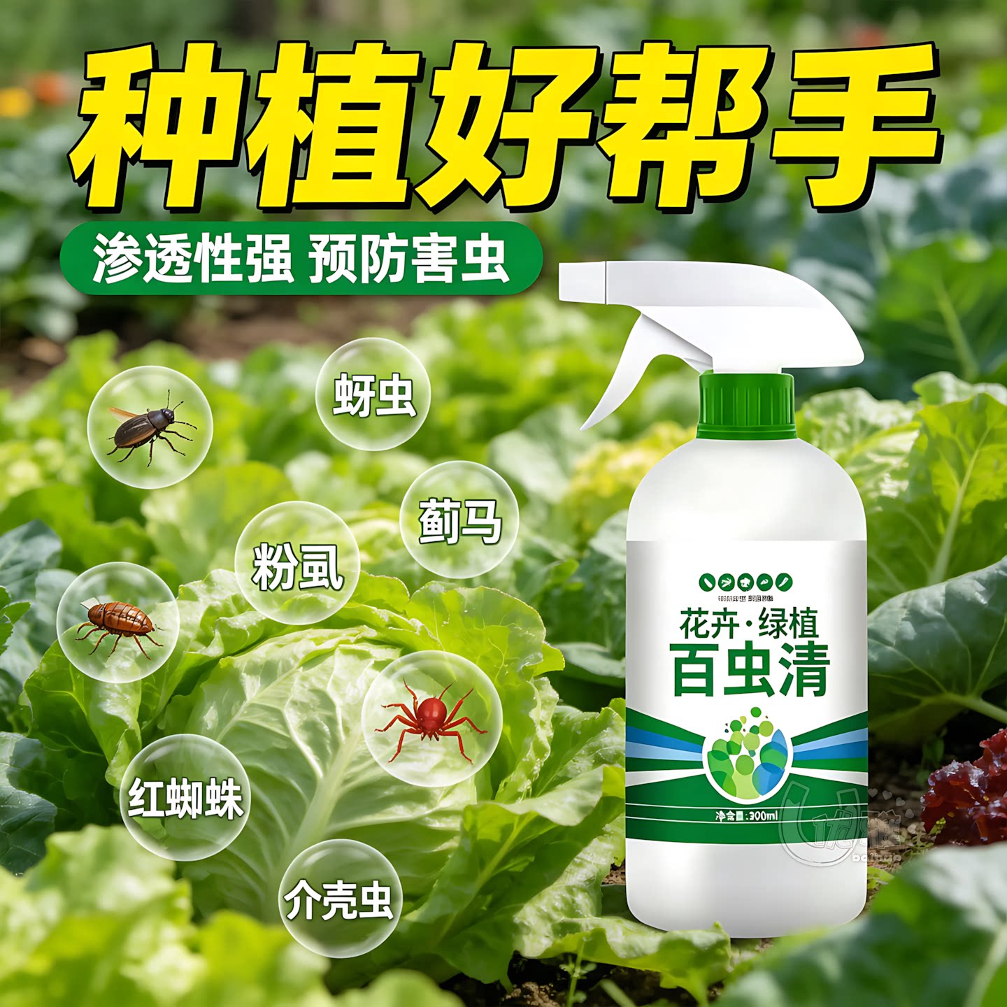 百虫植物瓜果蔬菜绿植除虫剂花卉多肉月季驱花园艺蚜虫通用杀虫剂