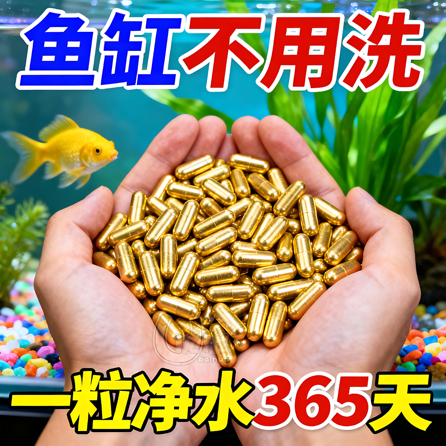 硝化细菌鱼缸专用净水胶囊颗粒活菌干粉水族养鱼净化水质分解粪便