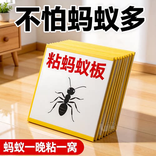 蚂蚁粘板摆放快速清除室内蚁患