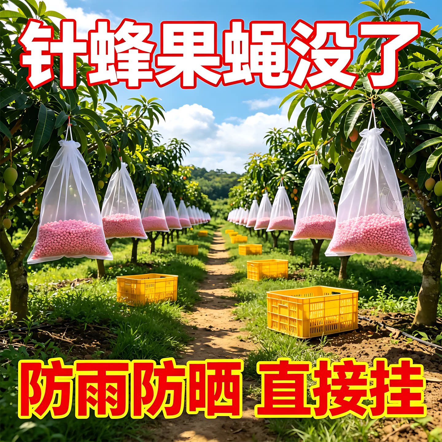 悬挂果蝇诱捕包菜园果园防虫小包