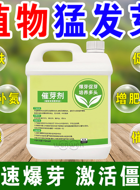植物催芽剂多芽促芽催芽分化叶插花植物多肉绿植通用型生根复活液