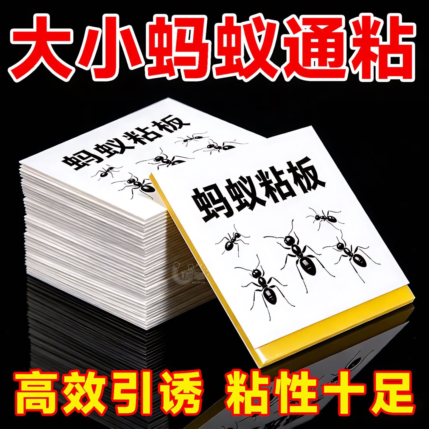 强力粘蚁板厨房室内物理除蚂蚁贴