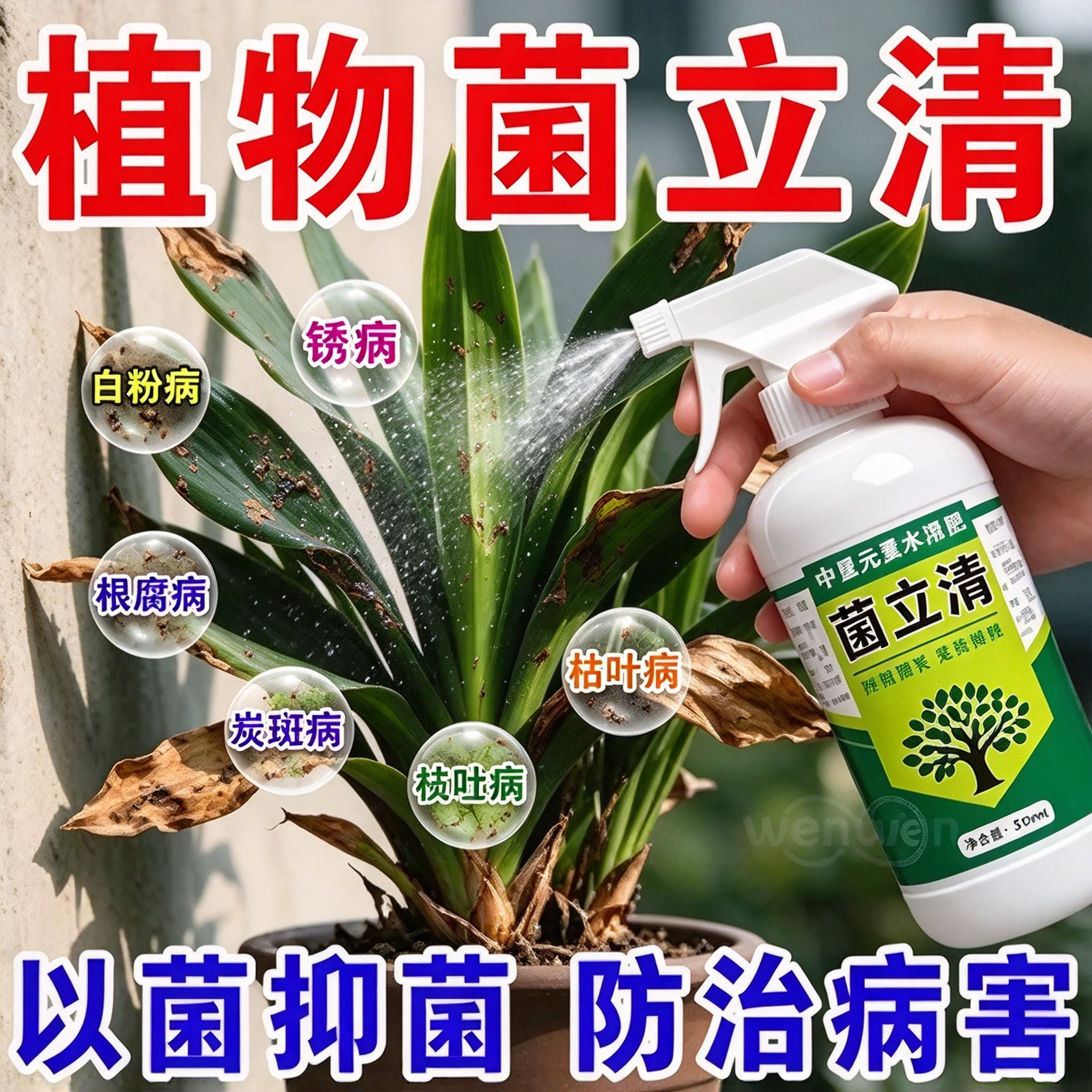 菌立清快速除菌不伤植物防治病害