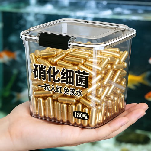 强力硝化细菌快速净水鱼缸不浑水